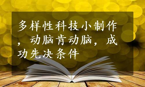 多样性科技小制作，动脑肯动脑，成功先决条件