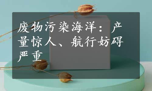 废物污染海洋：产量惊人、航行妨碍严重