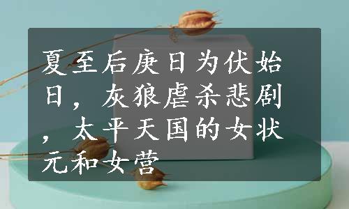 夏至后庚日为伏始日，灰狼虐杀悲剧，太平天国的女状元和女营