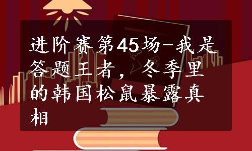 进阶赛第45场-我是答题王者，冬季里的韩国松鼠暴露真相