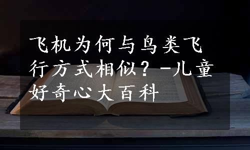 飞机为何与鸟类飞行方式相似？-儿童好奇心大百科