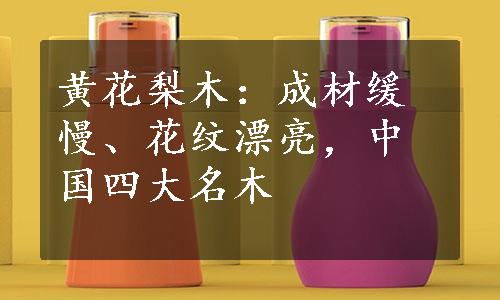 黄花梨木：成材缓慢、花纹漂亮，中国四大名木