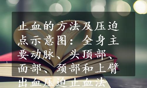 止血的方法及压迫点示意图：全身主要动脉、头顶部、面部、颈部和上臂出血压迫止血法