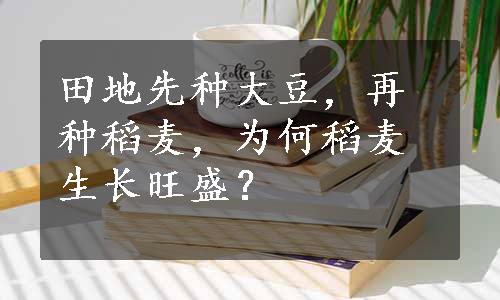 田地先种大豆，再种稻麦，为何稻麦生长旺盛？