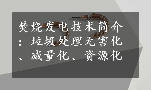 焚烧发电技术简介：垃圾处理无害化、减量化、资源化