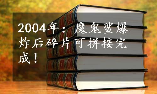 2004年：魔鬼鲨爆炸后碎片可拼接完成！