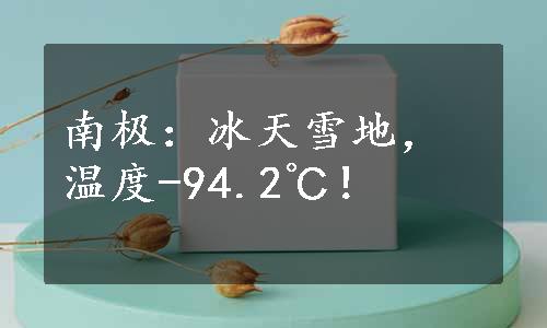 南极：冰天雪地，温度-94.2℃！