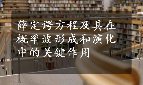 薛定谔方程及其在概率波形成和演化中的关键作用