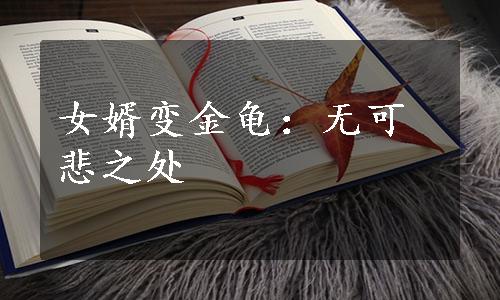 女婿变金龟：无可悲之处