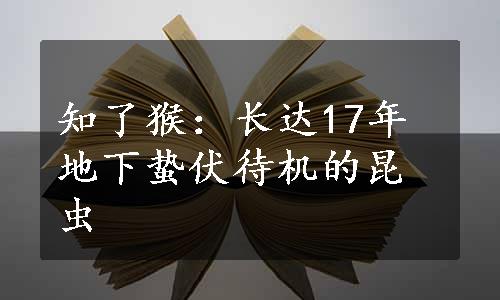 知了猴：长达17年地下蛰伏待机的昆虫