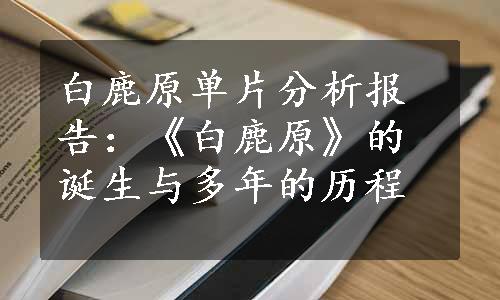 白鹿原单片分析报告：《白鹿原》的诞生与多年的历程