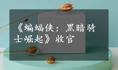 《蝙蝠侠：黑暗骑士崛起》收官