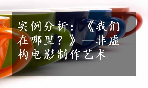 实例分析：《我们在哪里？》—非虚构电影制作艺术