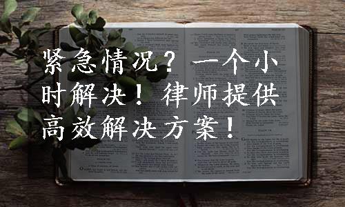 紧急情况？一个小时解决！律师提供高效解决方案！