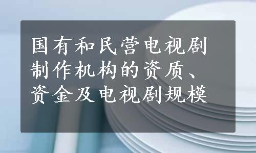 国有和民营电视剧制作机构的资质、资金及电视剧规模