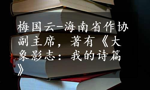 梅国云-海南省作协副主席，著有《大象影志：我的诗篇》