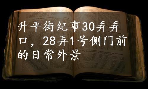 升平街纪事30弄弄口，28弄1号侧门前的日常外景