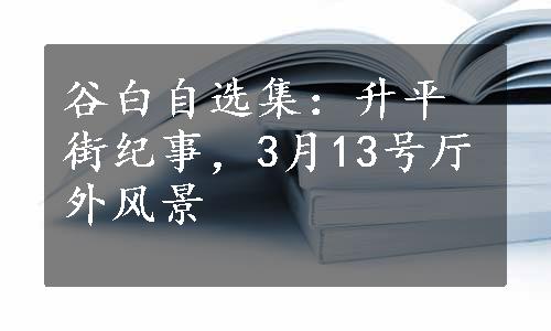 谷白自选集：升平街纪事，3月13号厅外风景