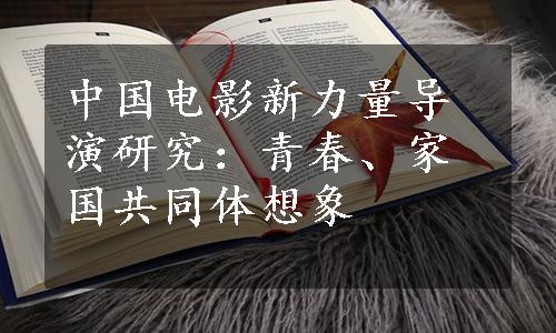 中国电影新力量导演研究：青春、家国共同体想象