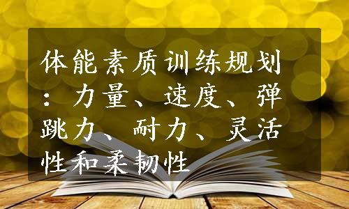 体能素质训练规划：力量、速度、弹跳力、耐力、灵活性和柔韧性