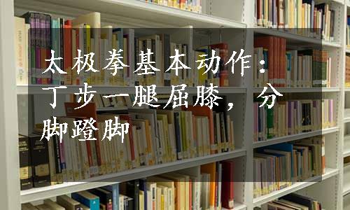 太极拳基本动作：丁步一腿屈膝，分脚蹬脚