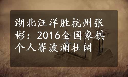 湖北汪洋胜杭州张彬：2016全国象棋个人赛波澜壮阔