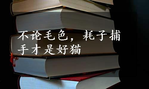 不论毛色，耗子捕手才是好猫