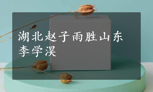 湖北赵子雨胜山东李学淏