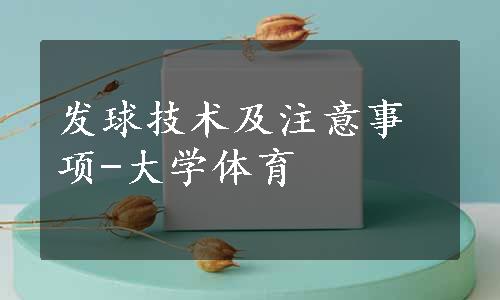 发球技术及注意事项-大学体育