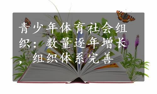 青少年体育社会组织：数量逐年增长，组织体系完善