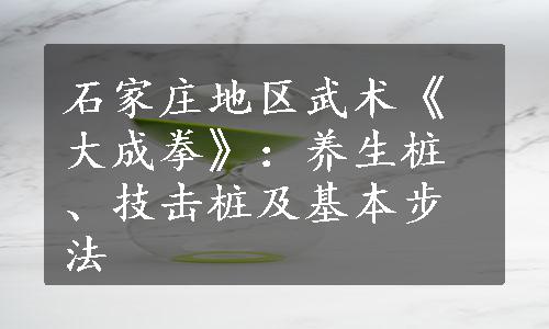 石家庄地区武术《大成拳》：养生桩、技击桩及基本步法