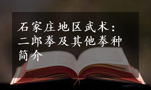 石家庄地区武术：二郎拳及其他拳种简介