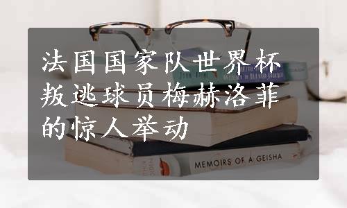 法国国家队世界杯叛逃球员梅赫洛菲的惊人举动