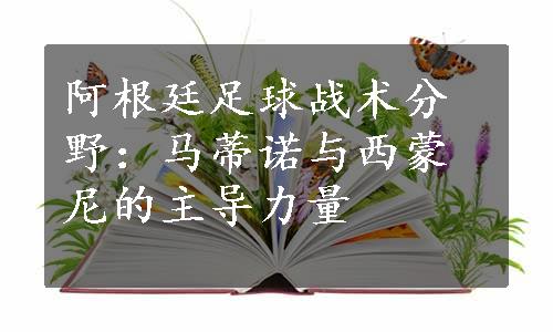 阿根廷足球战术分野：马蒂诺与西蒙尼的主导力量