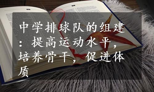 中学排球队的组建：提高运动水平，培养骨干，促进体质