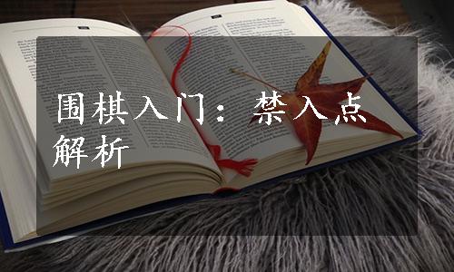 围棋入门：禁入点解析