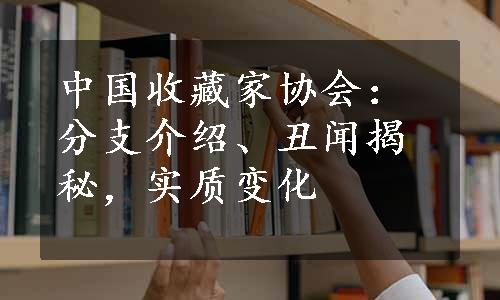 中国收藏家协会：分支介绍、丑闻揭秘，实质变化