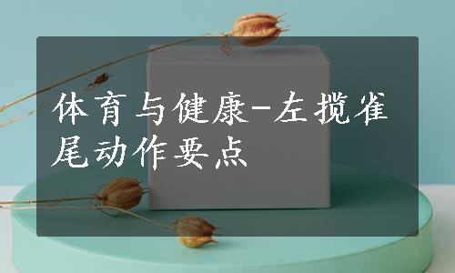 体育与健康-左揽雀尾动作要点