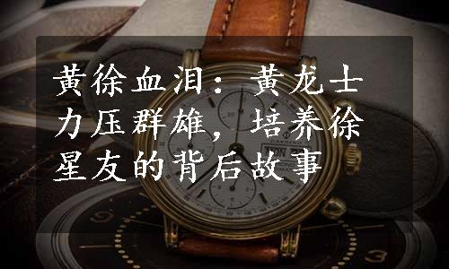 黄徐血泪：黄龙士力压群雄，培养徐星友的背后故事