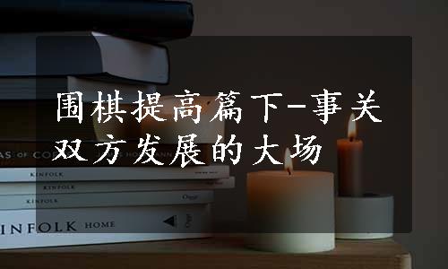 围棋提高篇下-事关双方发展的大场