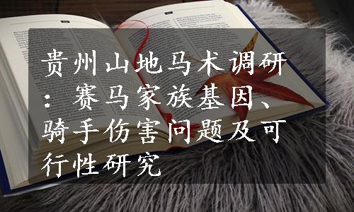 贵州山地马术调研：赛马家族基因、骑手伤害问题及可行性研究