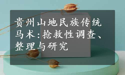 贵州山地民族传统马术:抢救性调查、整理与研究