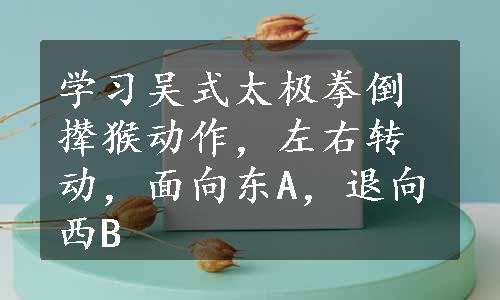 学习吴式太极拳倒撵猴动作，左右转动，面向东A，退向西B