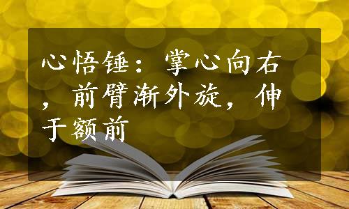 心悟锤：掌心向右，前臂渐外旋，伸于额前