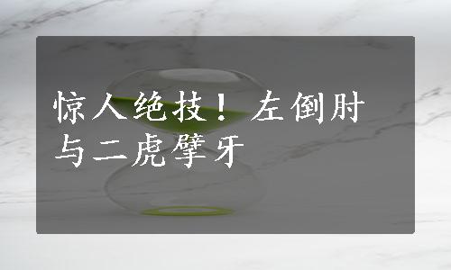 惊人绝技！左倒肘与二虎擘牙