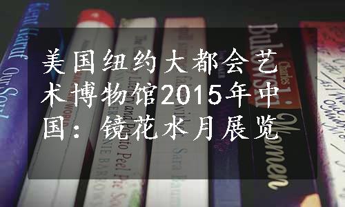 美国纽约大都会艺术博物馆2015年中国：镜花水月展览