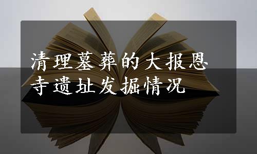 清理墓葬的大报恩寺遗址发掘情况