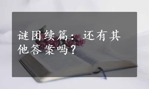 谜团续篇：还有其他答案吗？