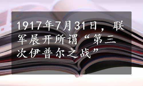 1917年7月31日，联军展开所谓“第三次伊普尔之战”