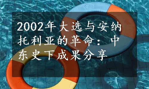 2002年大选与安纳托利亚的革命：中东史下成果分享